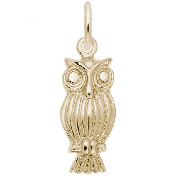 0890 - 242103 - Owl Charm